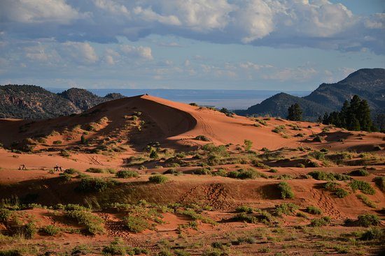 big sand dune at coral national park