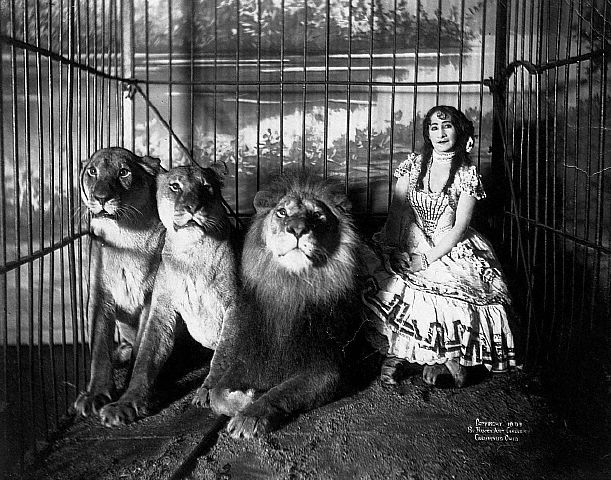 1899 --- Adjie seated in a cage with a lion and two lionesses, 1899. --- Image by © CORBIS