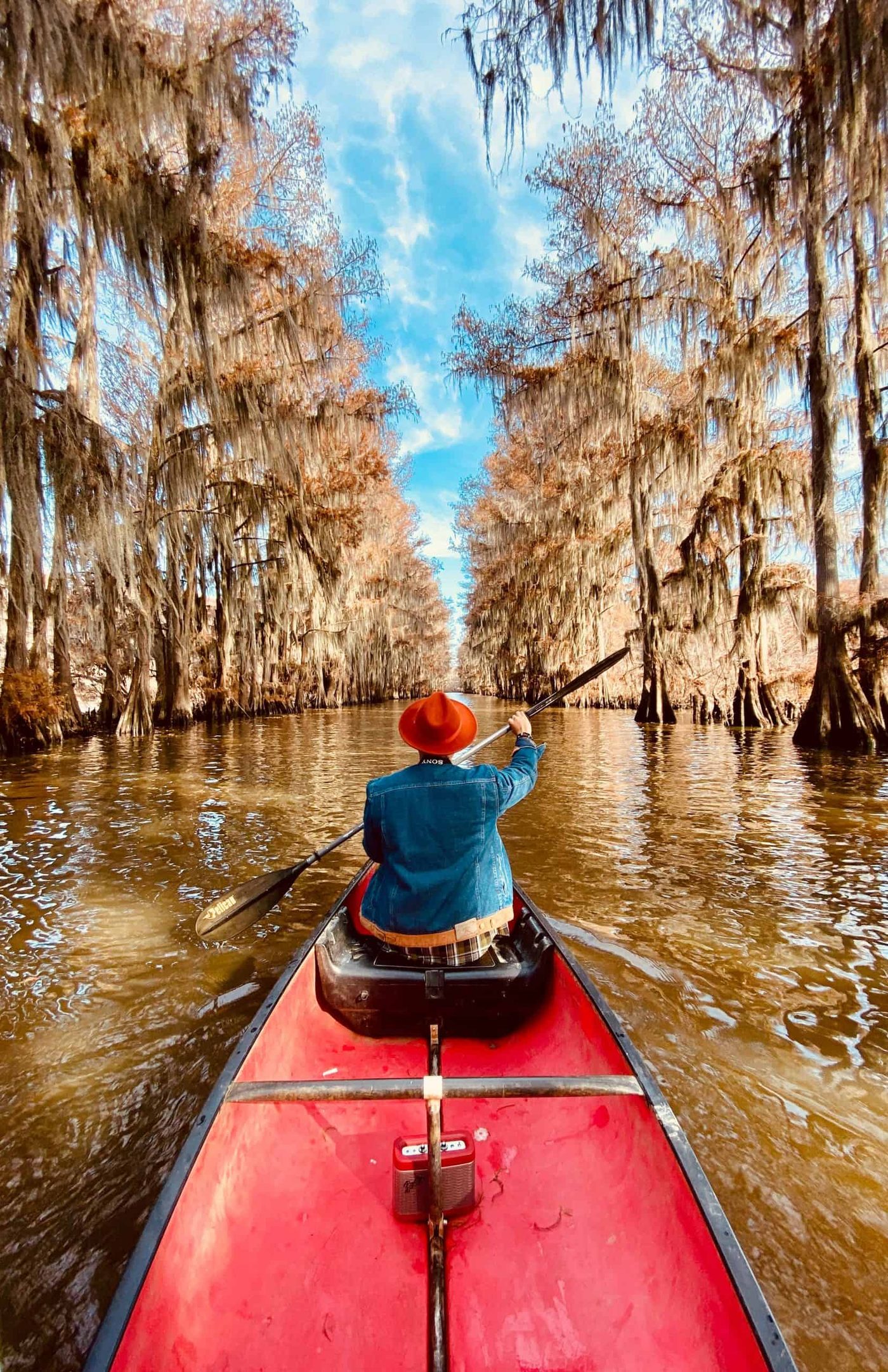 two people in a canoe rowing down a beautiful river with trees on both sides.