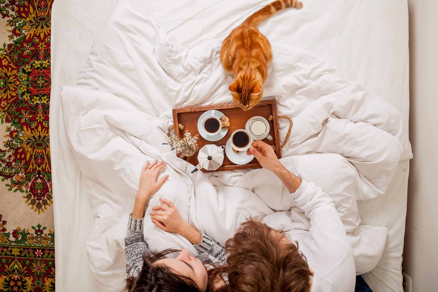 breakfast in bed with cat