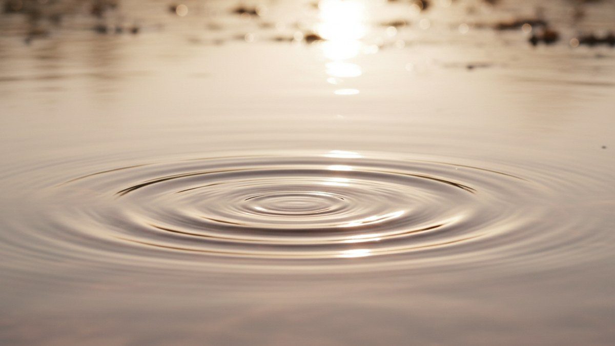 concentric ripples spreading across still water in warm light